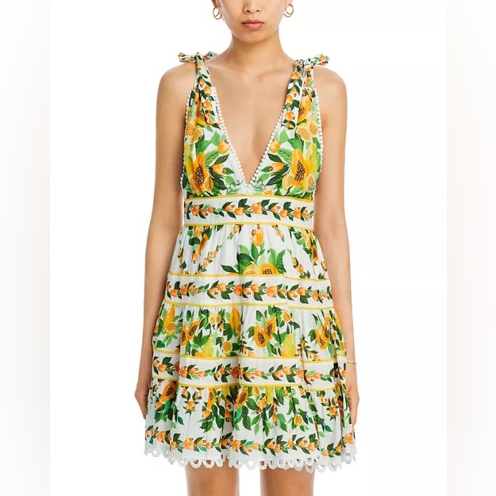 FARM RIO Papaya Salad Tiered Summer Swing Dress - Picture 2 of 16